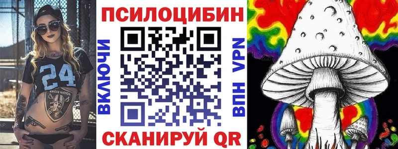 Галлюциногенные грибы Psilocybine cubensis  Вуктыл 