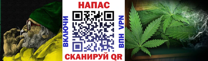 Бошки Шишки ГИДРОПОН  Вуктыл 